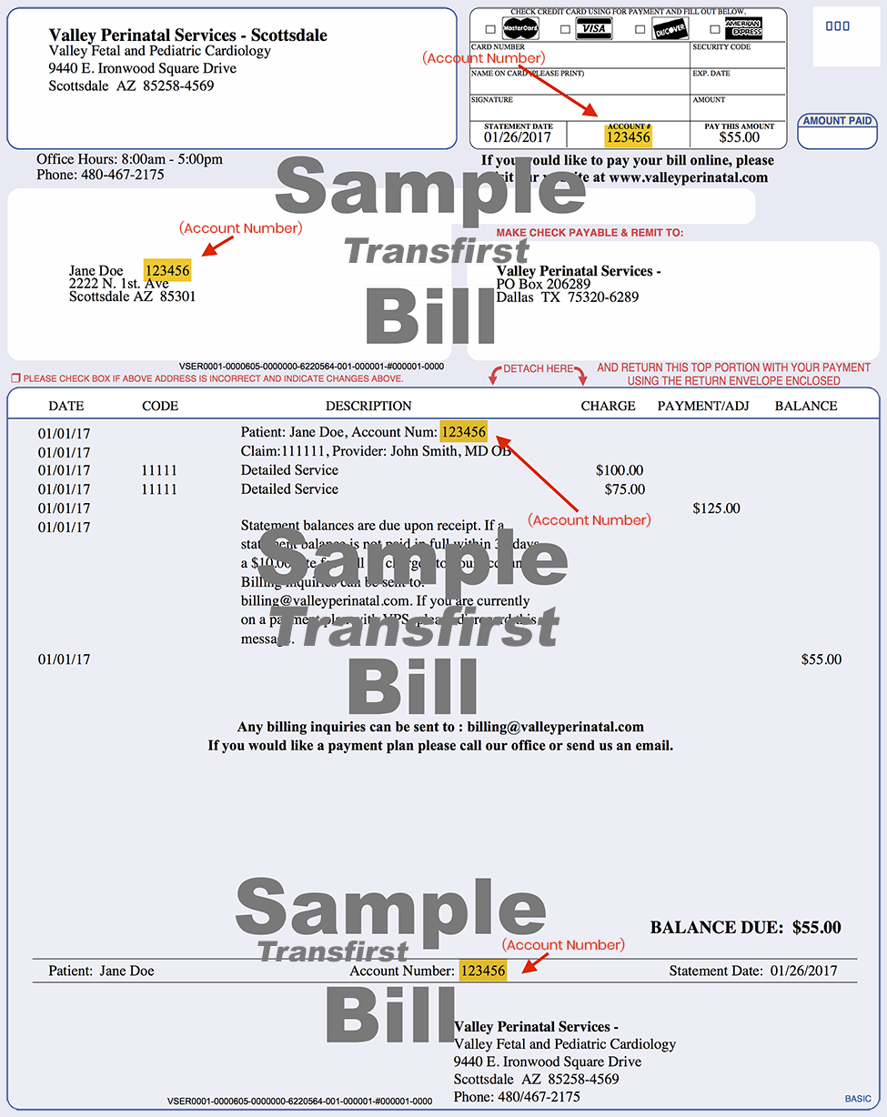 View Sample Transfirst<br/>Billing Statement