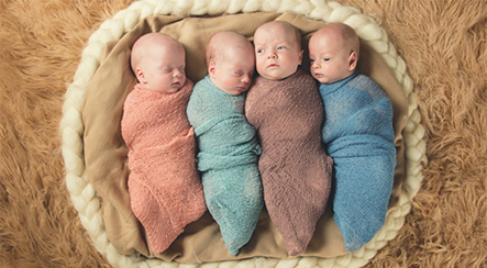 quadruplets babies in a basket